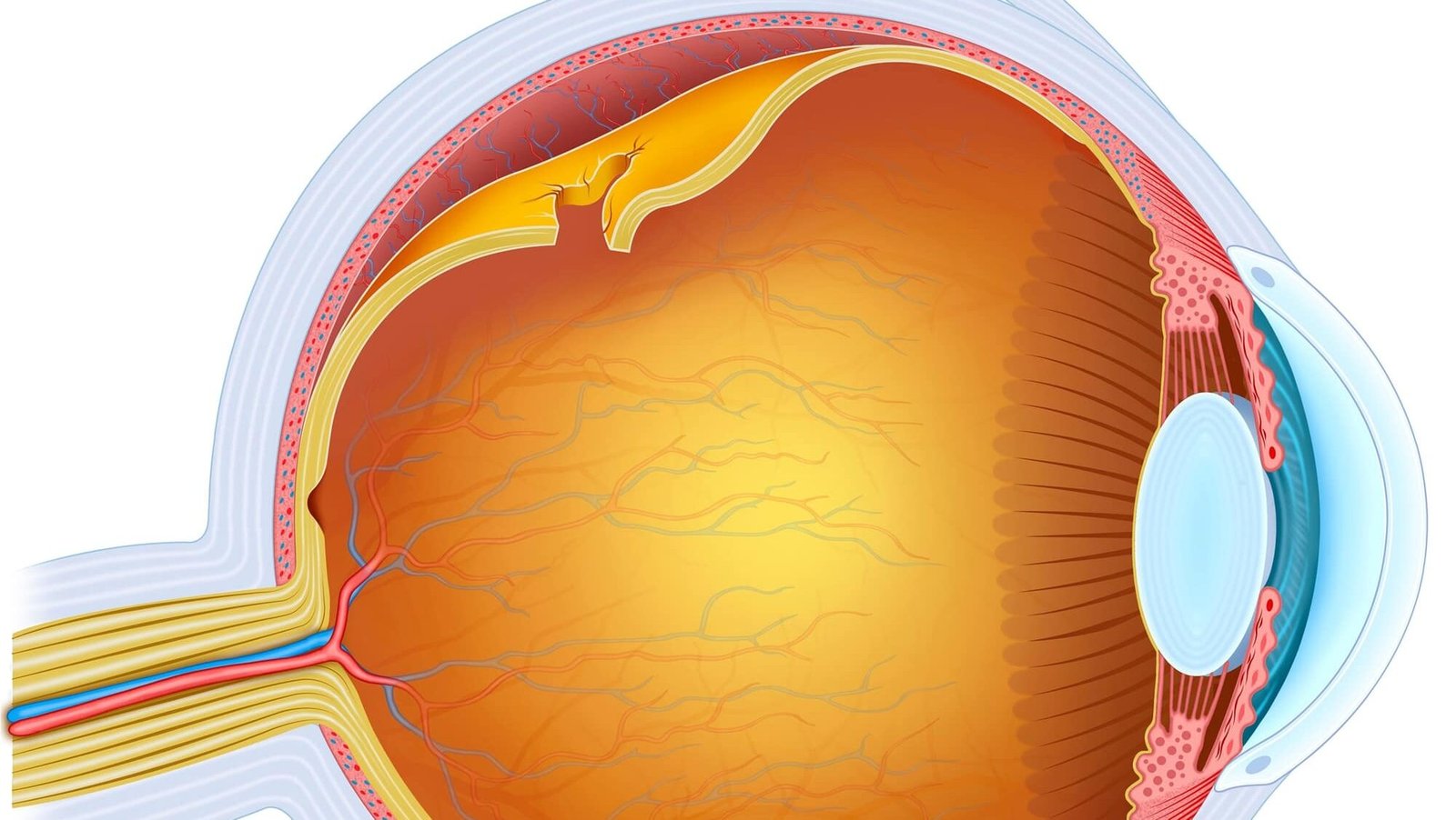 B0015_shutterstock_1808646106